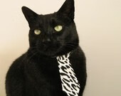 开云官网在线-_全运会体育盛典：多彩赛事展现体育精神_，全运会赛事活动