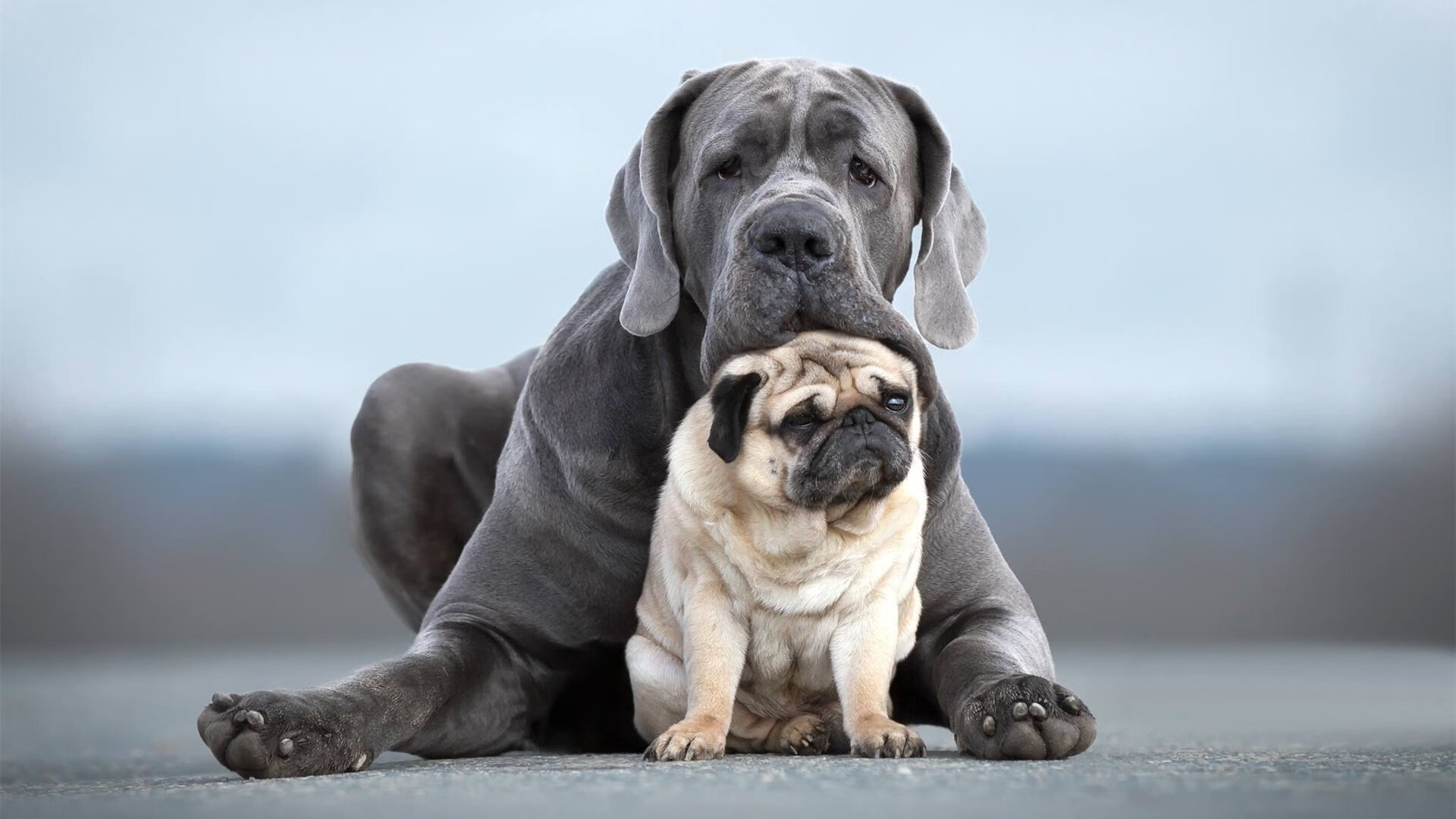 开云官网首页-_奇才战术日趋成熟，表现持续提升_，奇才战况