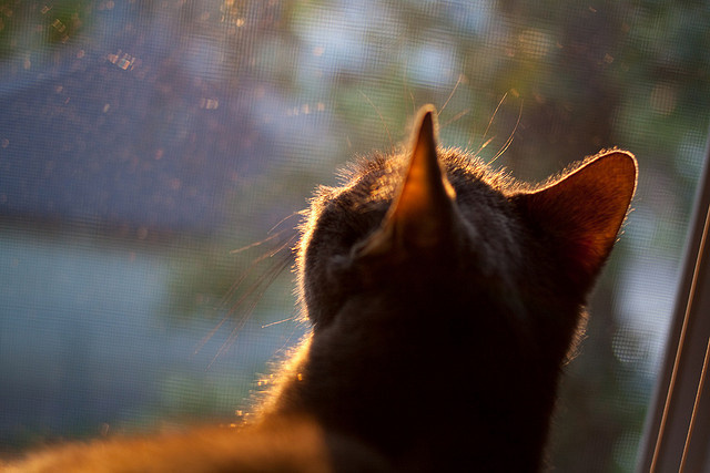 kaiyun体育综合-“联赛积分榜大洗牌，谁能挺进季后赛？最新动态速递”，联赛积分规则