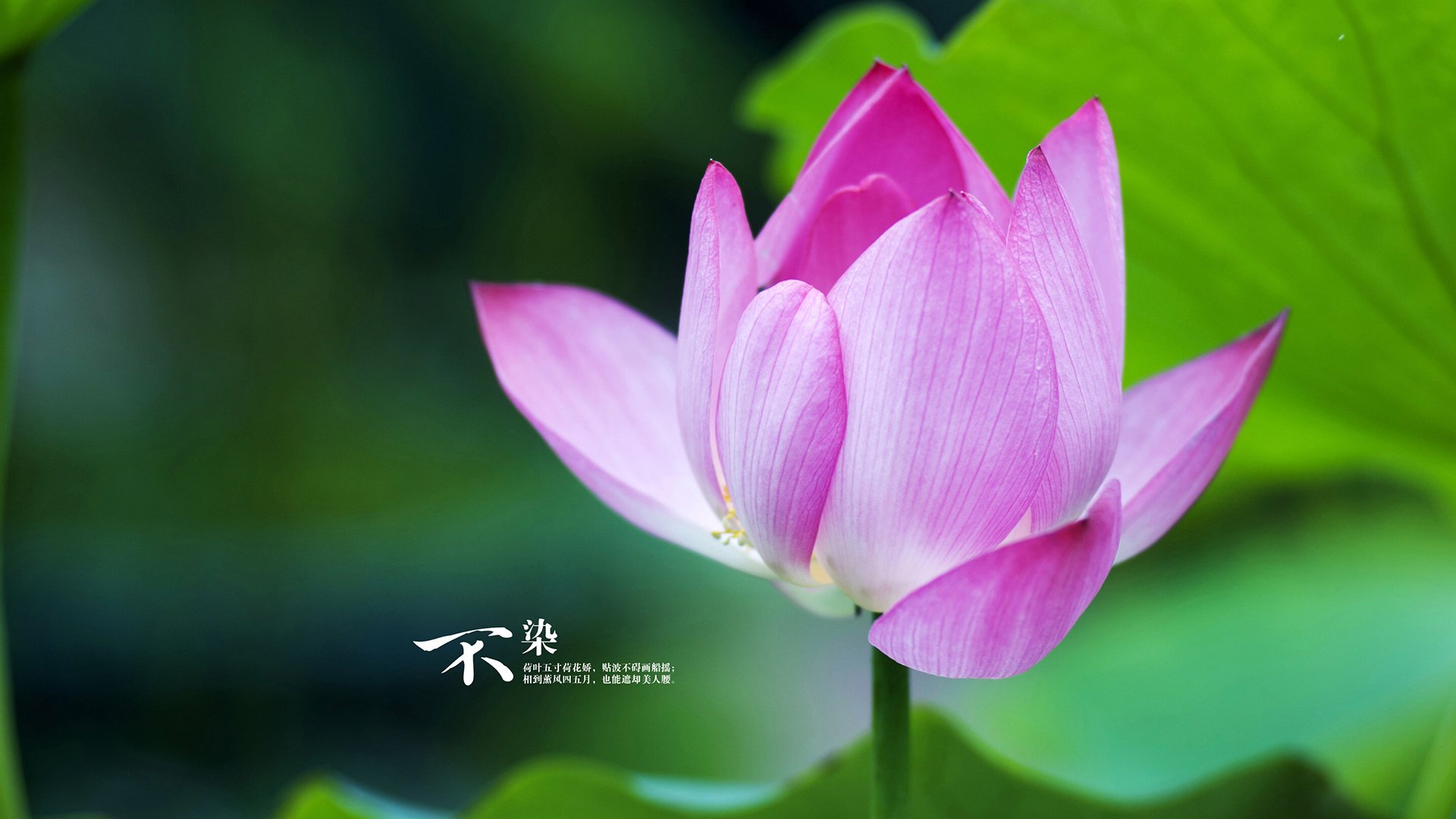 kaiyun开云·官方网站-“逆境反扑：球队在落后状态下的奇迹逆转”，逆境反弹