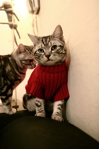 历史性胜利！切尔西重回欧冠半决赛，切尔西欧冠半决赛淘汰的是哪支球队